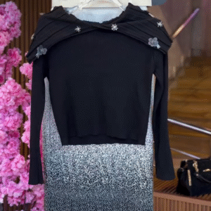 Embellished Black & Silver Dress