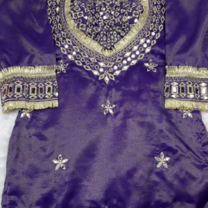 Royal Purple Silk Kurti with Intensive Mirror Artistry