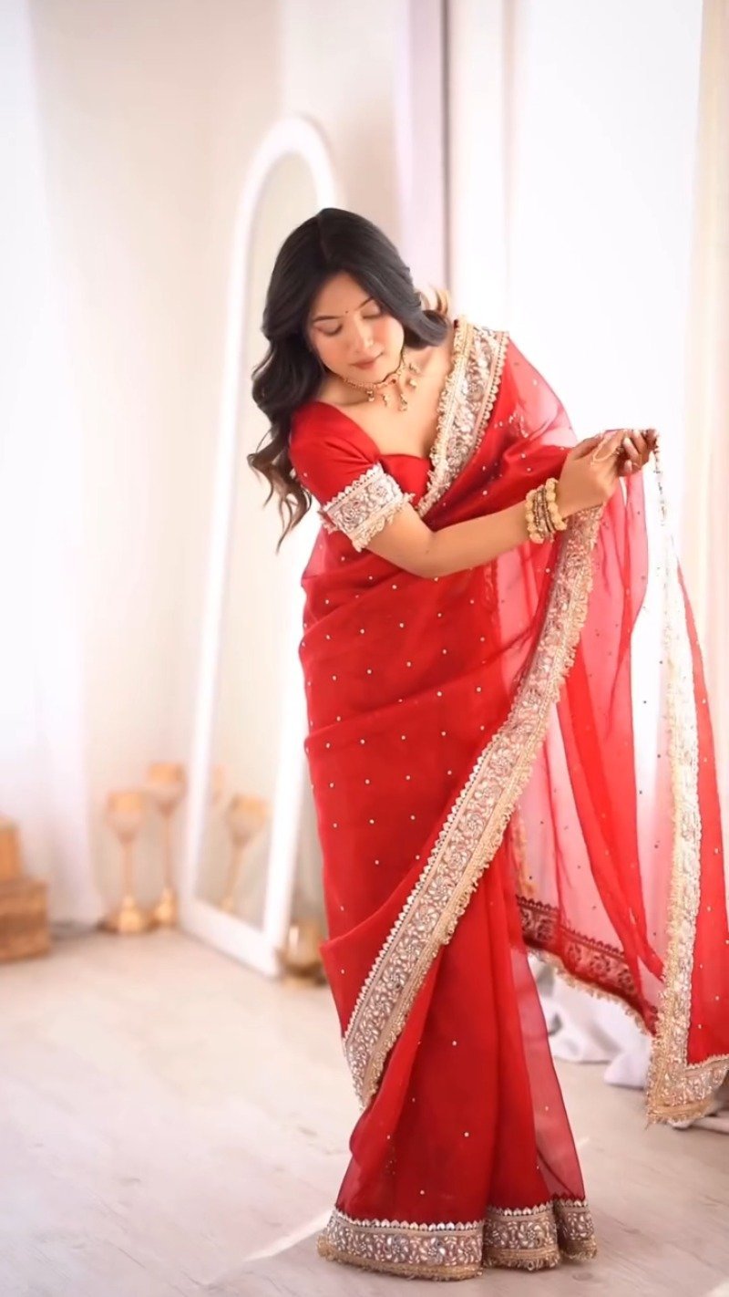 Scarlet Radiance Embellished Net Saree β A Masterpiece of Traditional Elegance - Image 2