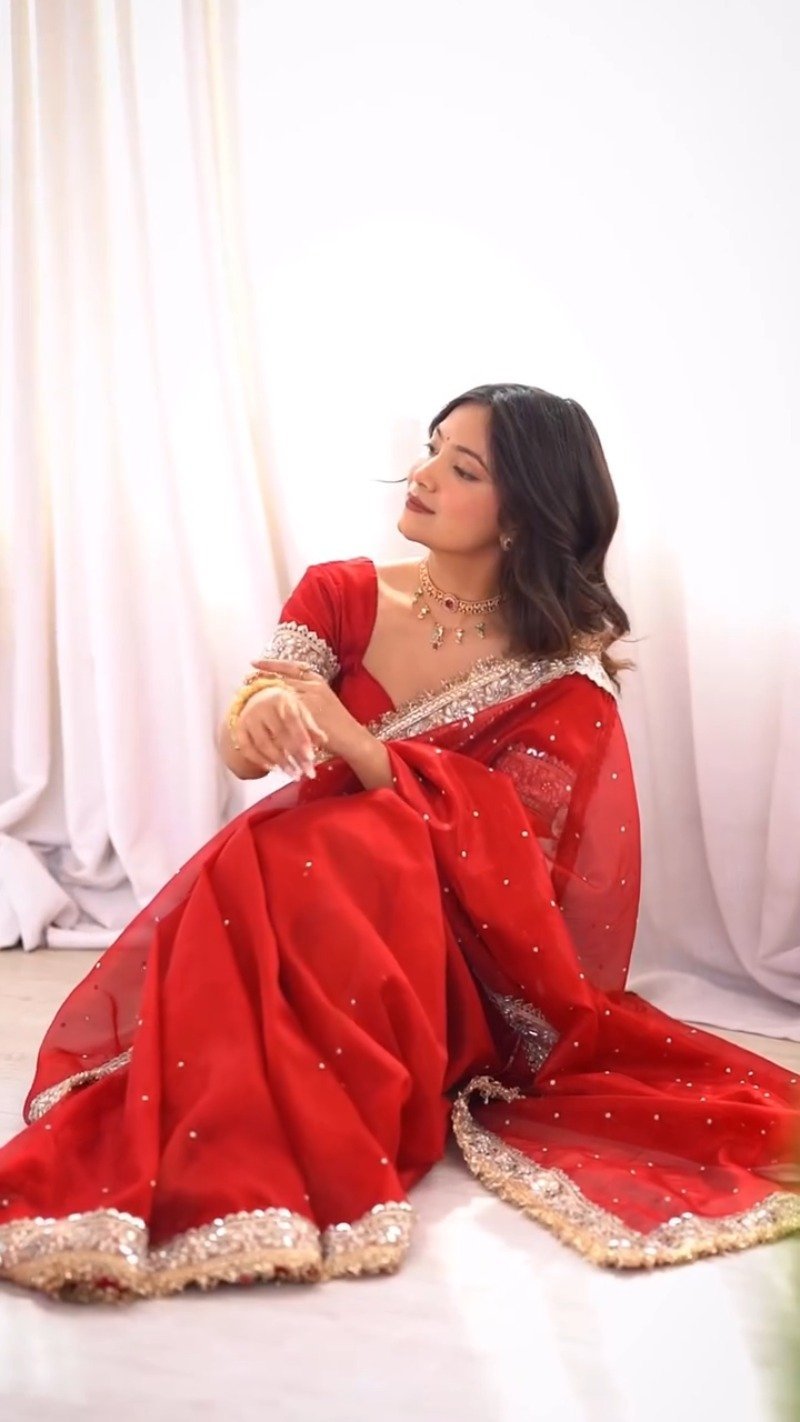 Scarlet Radiance Embellished Net Saree β A Masterpiece of Traditional Elegance