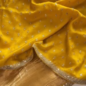 Sun-Kissed Gota Patti Organza Saree – A Masterpiece of Traditional Grace