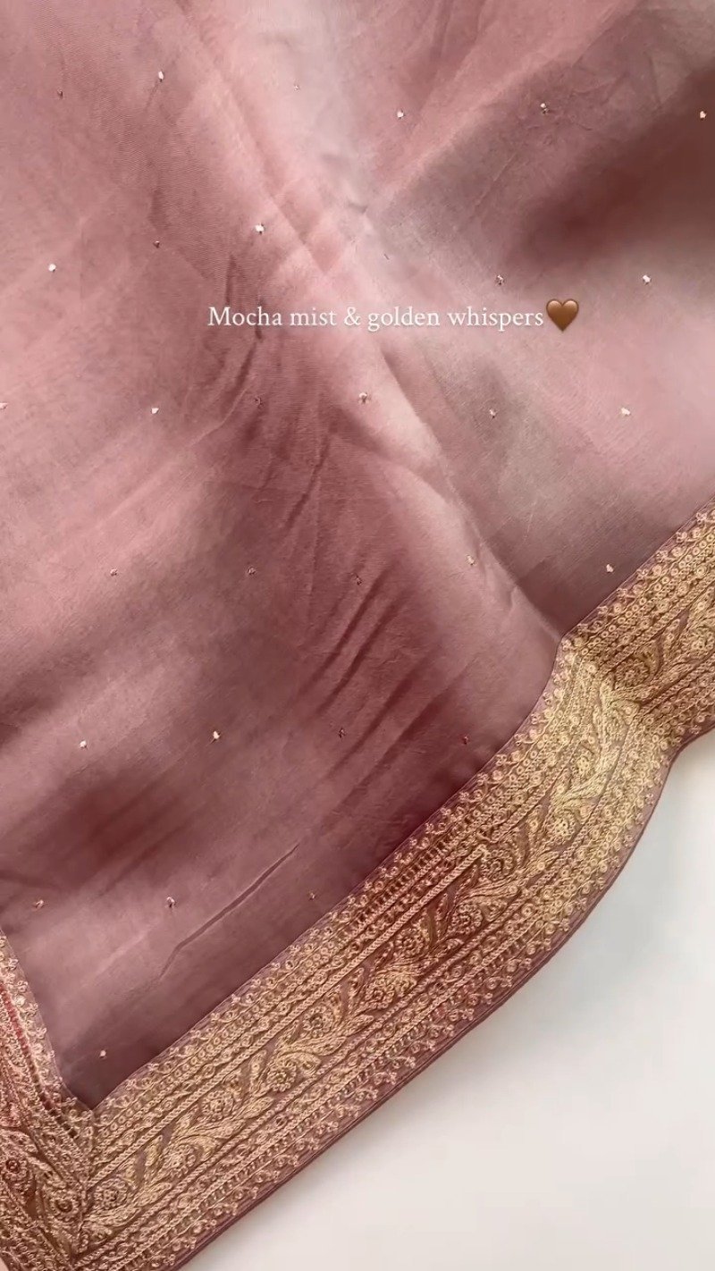Mocha Mist Embellished Silk Saree with Antique Gold Border - Image 4