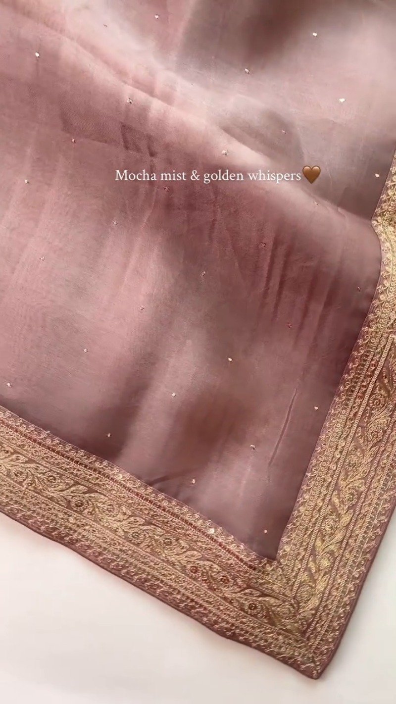 Mocha Mist Embellished Silk Saree with Antique Gold Border - Image 5