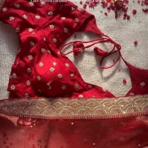 Radiant Crimson Silk Embellished Saree – A Masterpiece of Festive Elegance