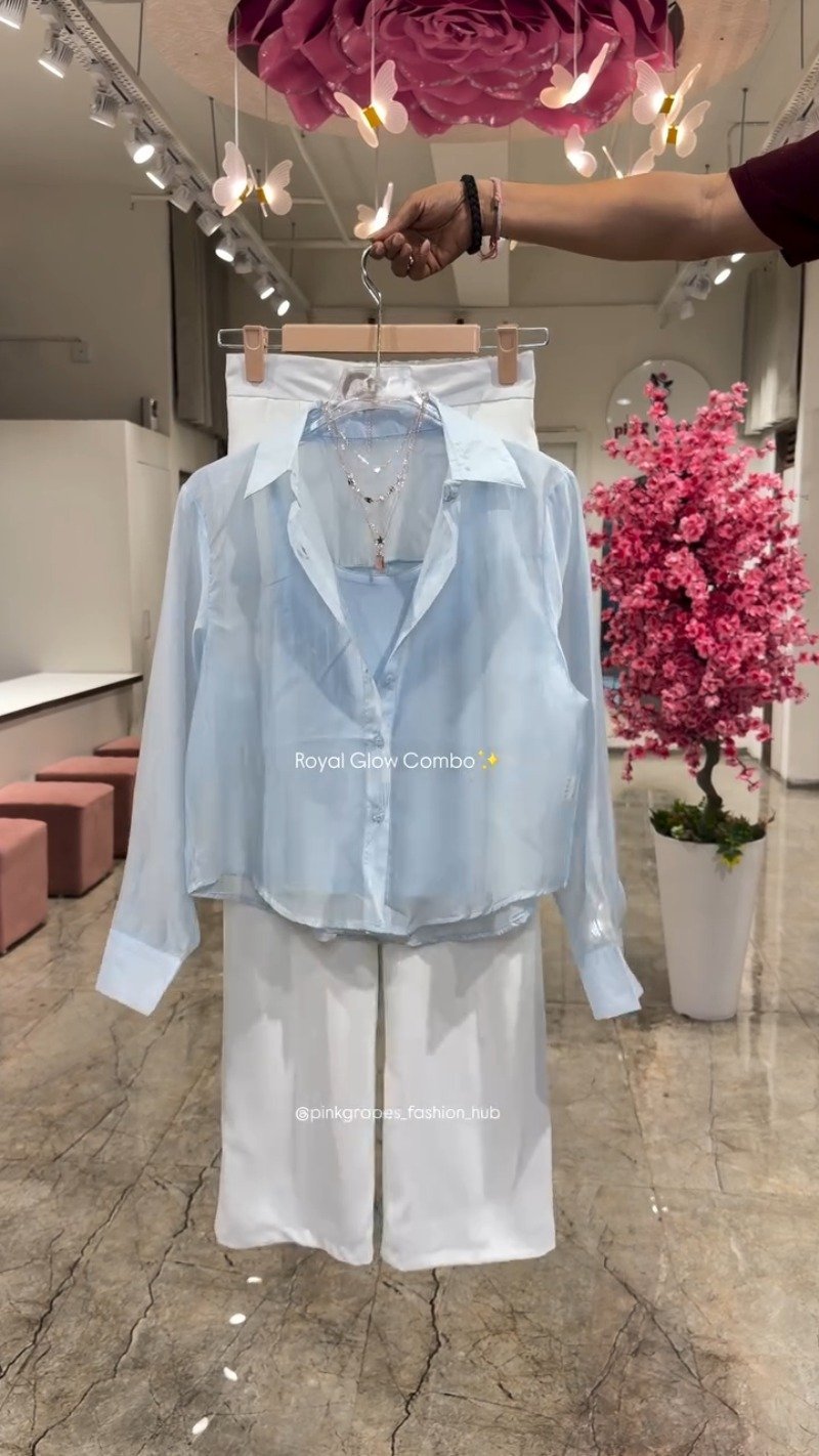 Royal Glow Organza Shirt & Pant Co-ord Set β Available in Pink, Beige, Blue & Sage Green - Image 3