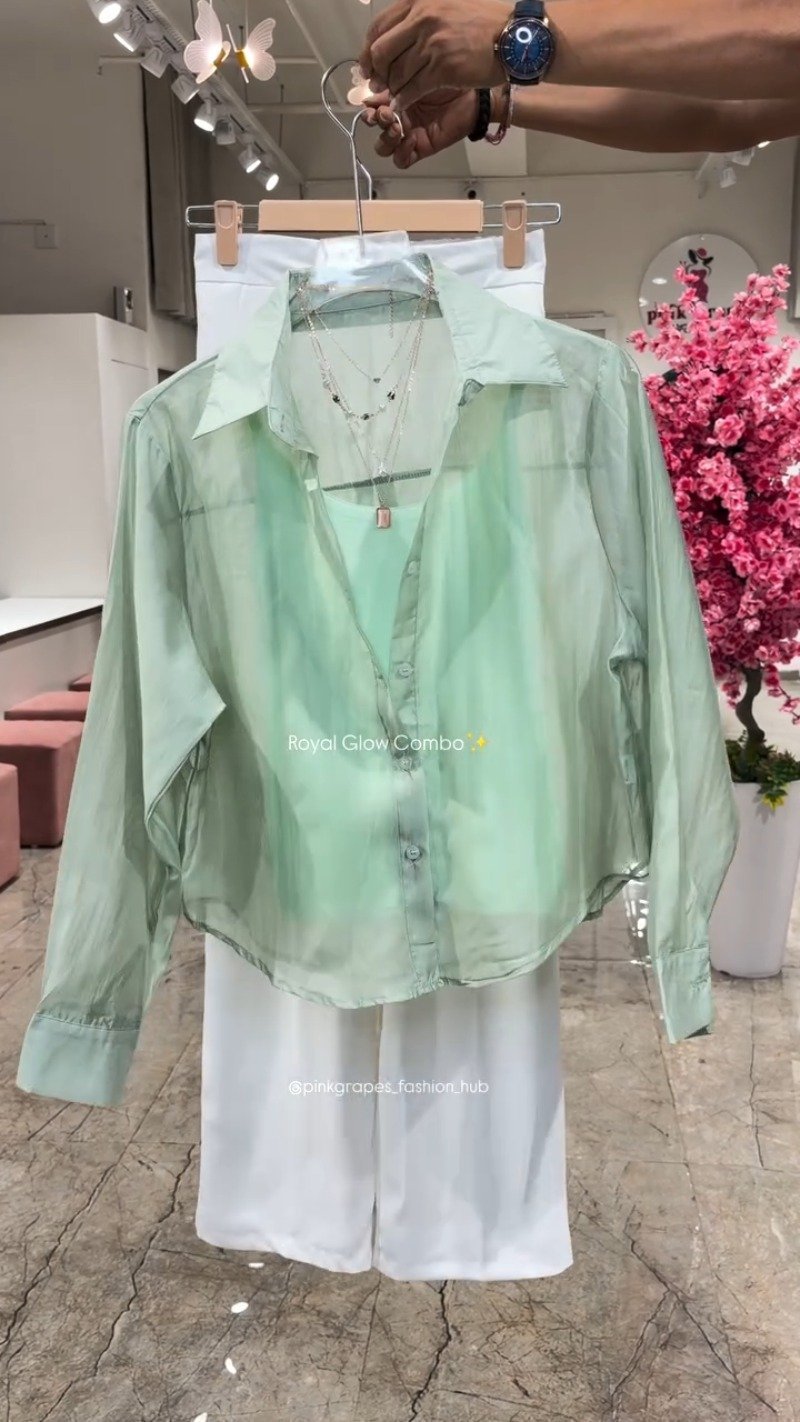 Royal Glow Organza Shirt & Pant Co-ord Set β Available in Pink, Beige, Blue & Sage Green - Image 4