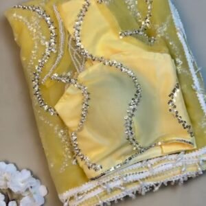 Sun-Kissed Radiance Sequin Embroidered Net Saree Set