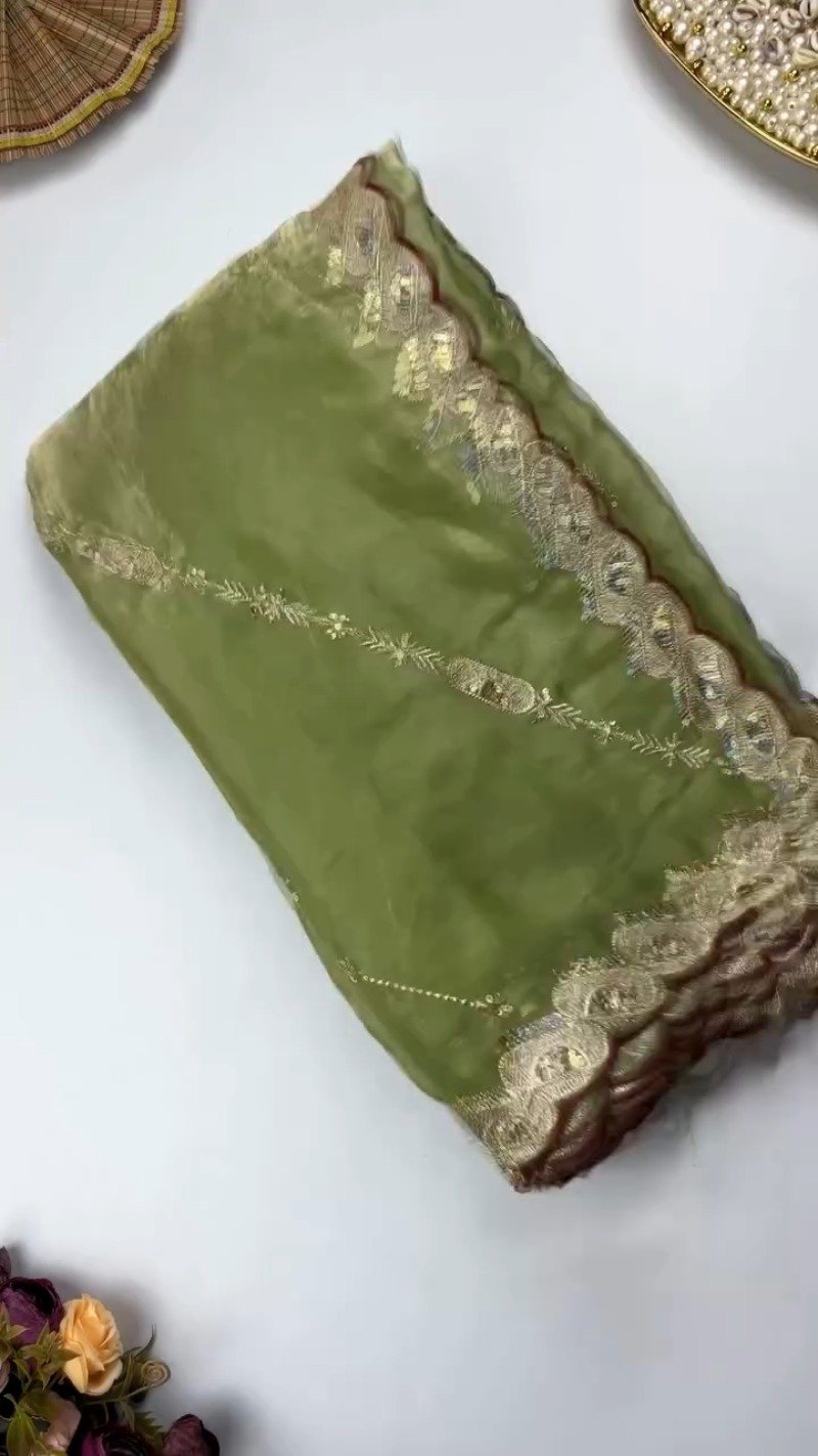 Opulent Scalloped Border Embellished Saree with Embroidered Blouse – Available in Sage Green & Rust Orange - Image 2